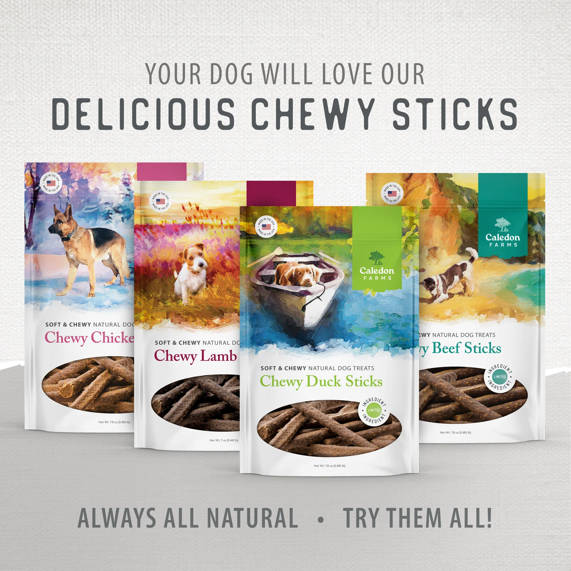 Chewy Beef Sticks - Image 11