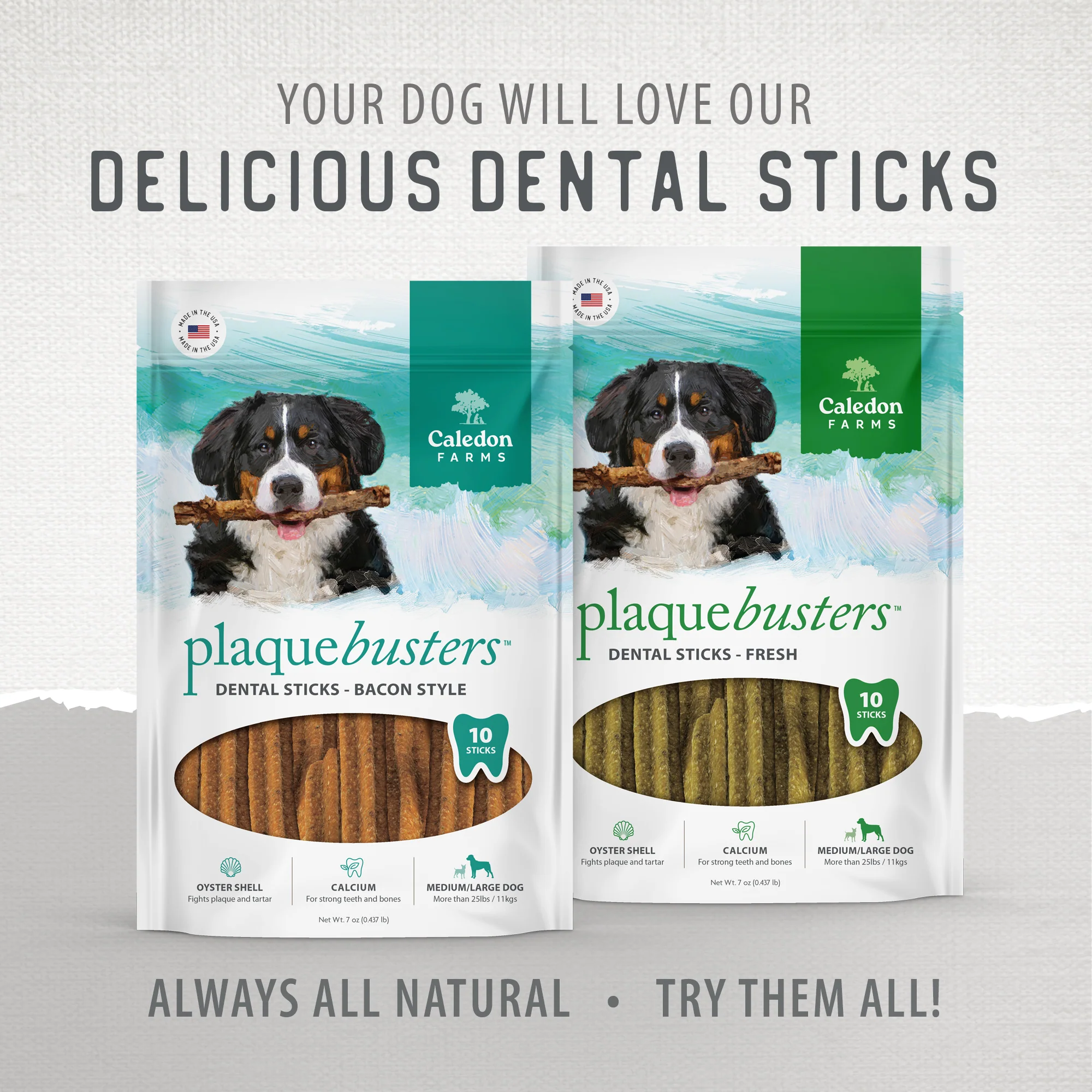 Plaque Busters Fresh Dental Sticks - Image 11