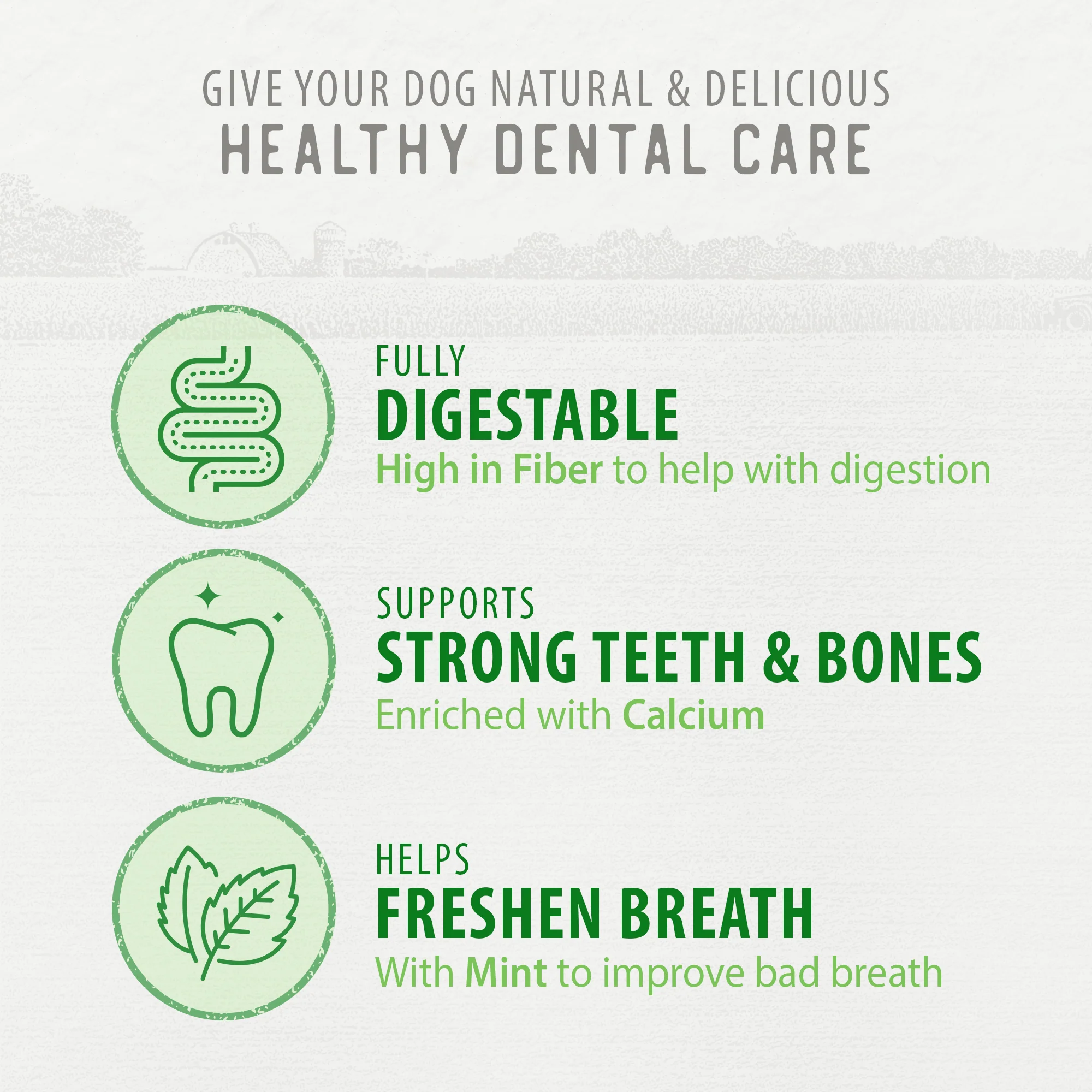 Plaque Busters Fresh Dental Sticks - Image 5