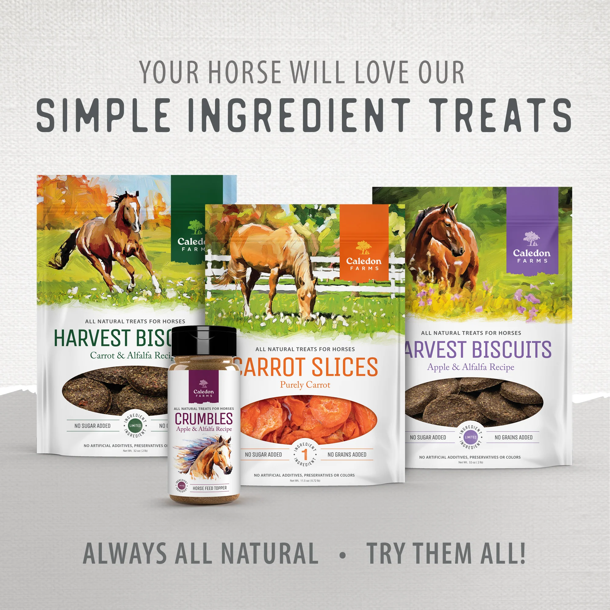 Harvest Biscuits - Carrot & Alfalfa Recipe Horse Treats - Image 10