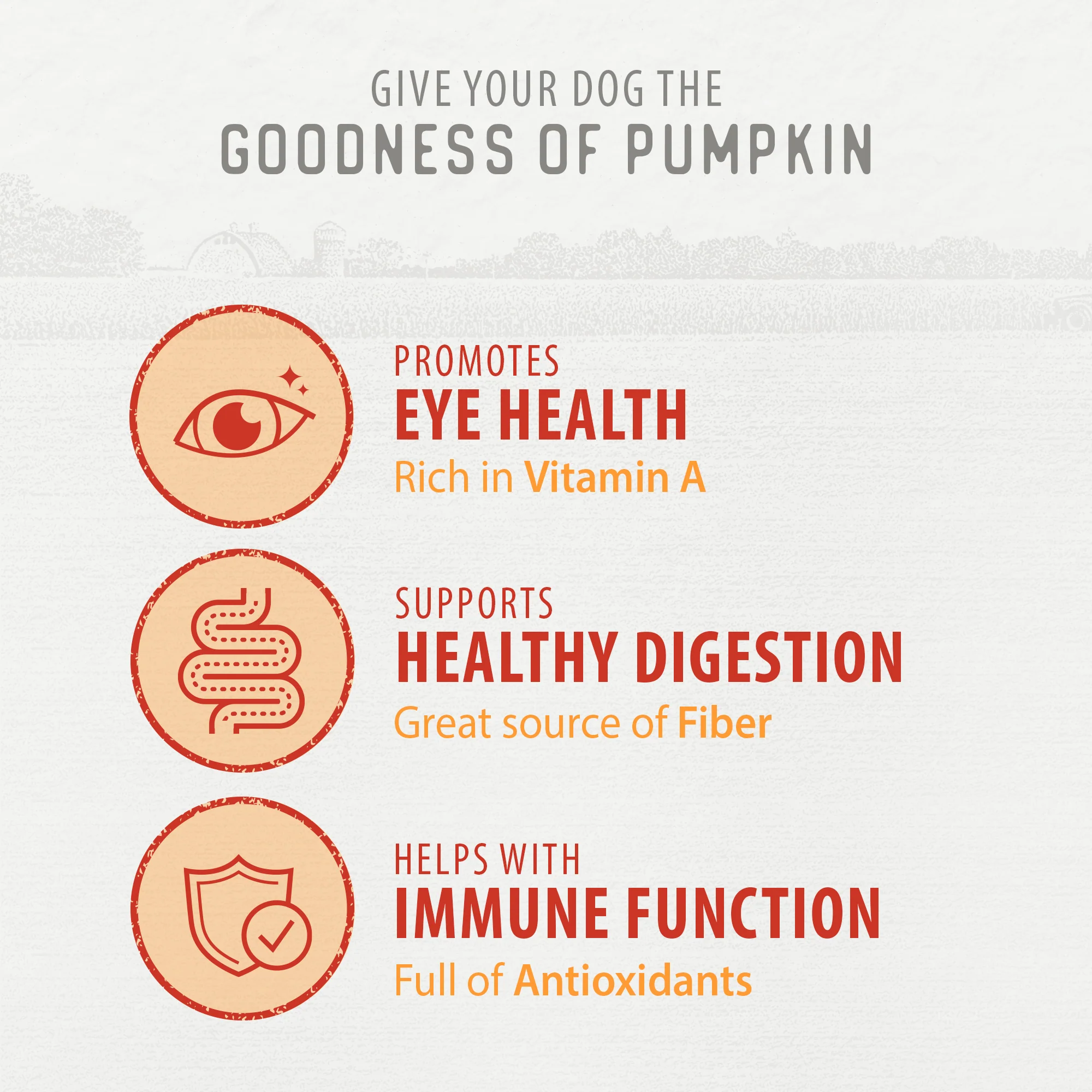 Baked Bites - Pumpkin - Image 5