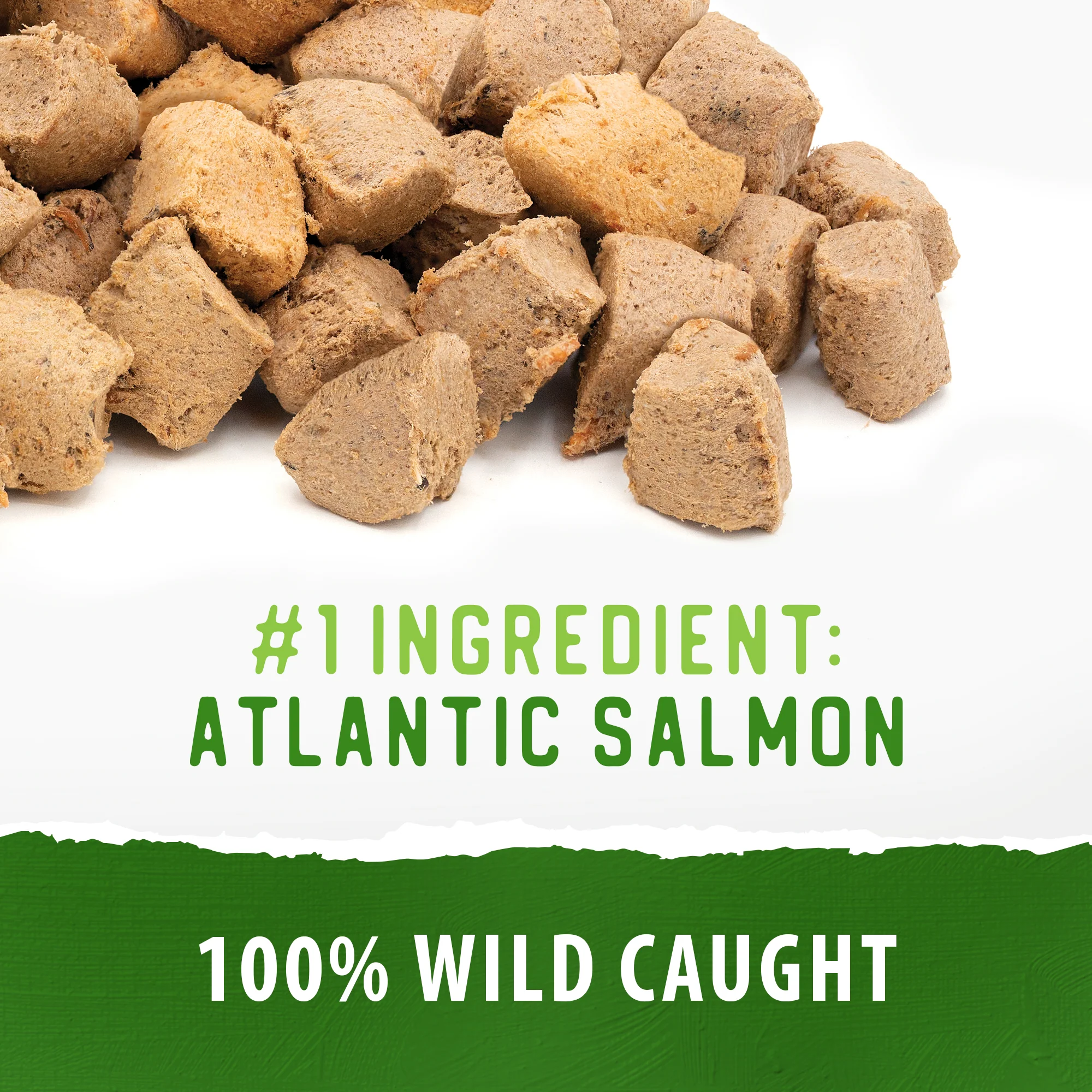 Freeze Dried Salmon Bites - Image 3