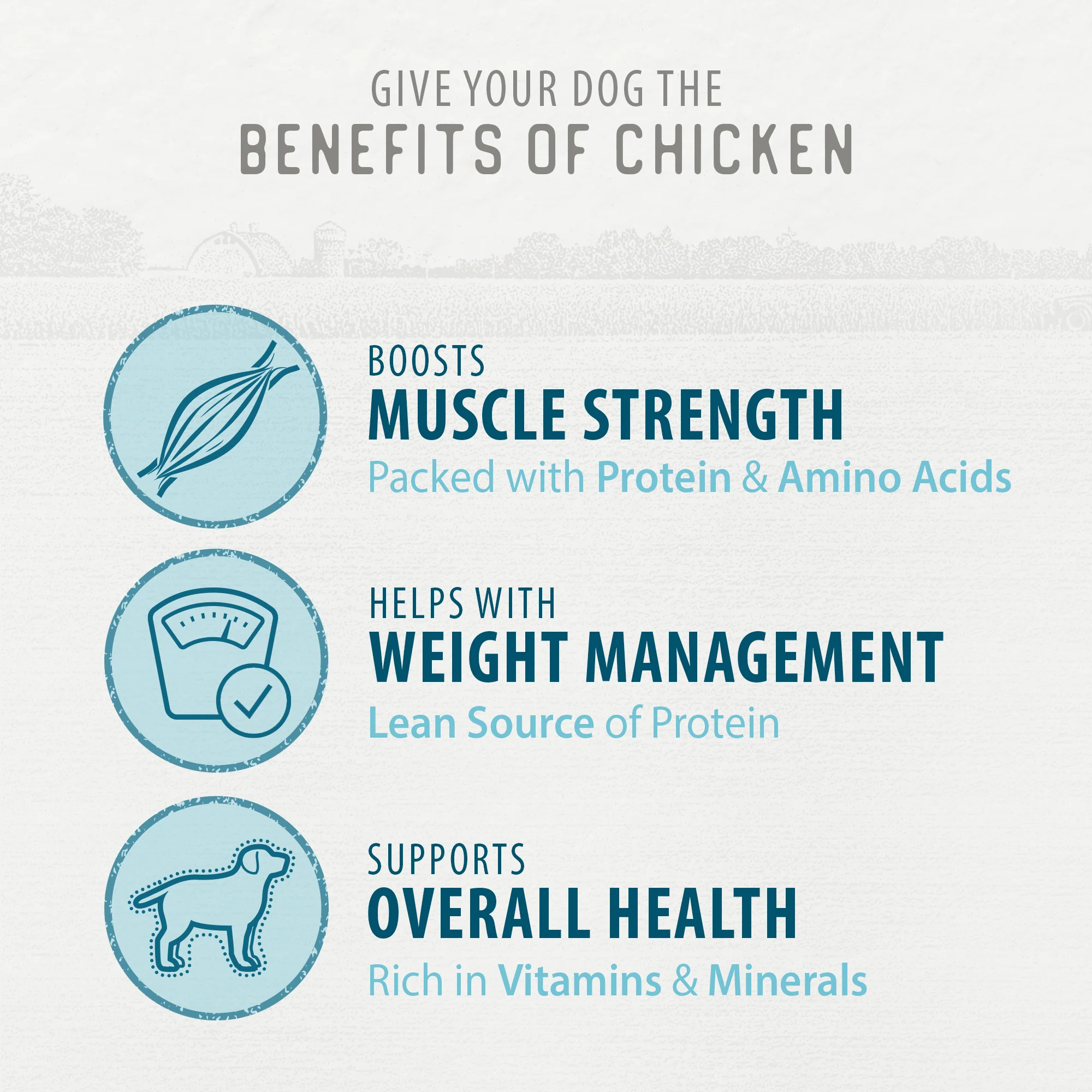 Homestyle Chicken Grillers - Image 5
